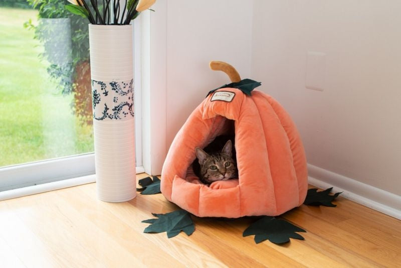 Armarkat Pumpkin Shape Cat Bed