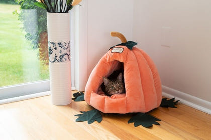 Armarkat Pumpkin Shape Cat Bed