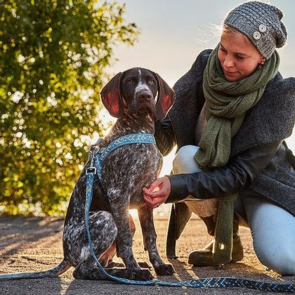 Hurtta Razzle Dazzle Bilberry Dog Harness