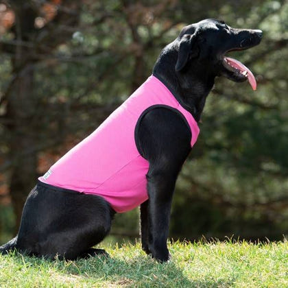 Weaver Terrain D.O.G. Cooling Vest