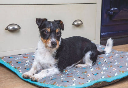 Shires Digby Waterproof Dog Bed