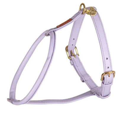 Shires Digby Rolled Leather Harness