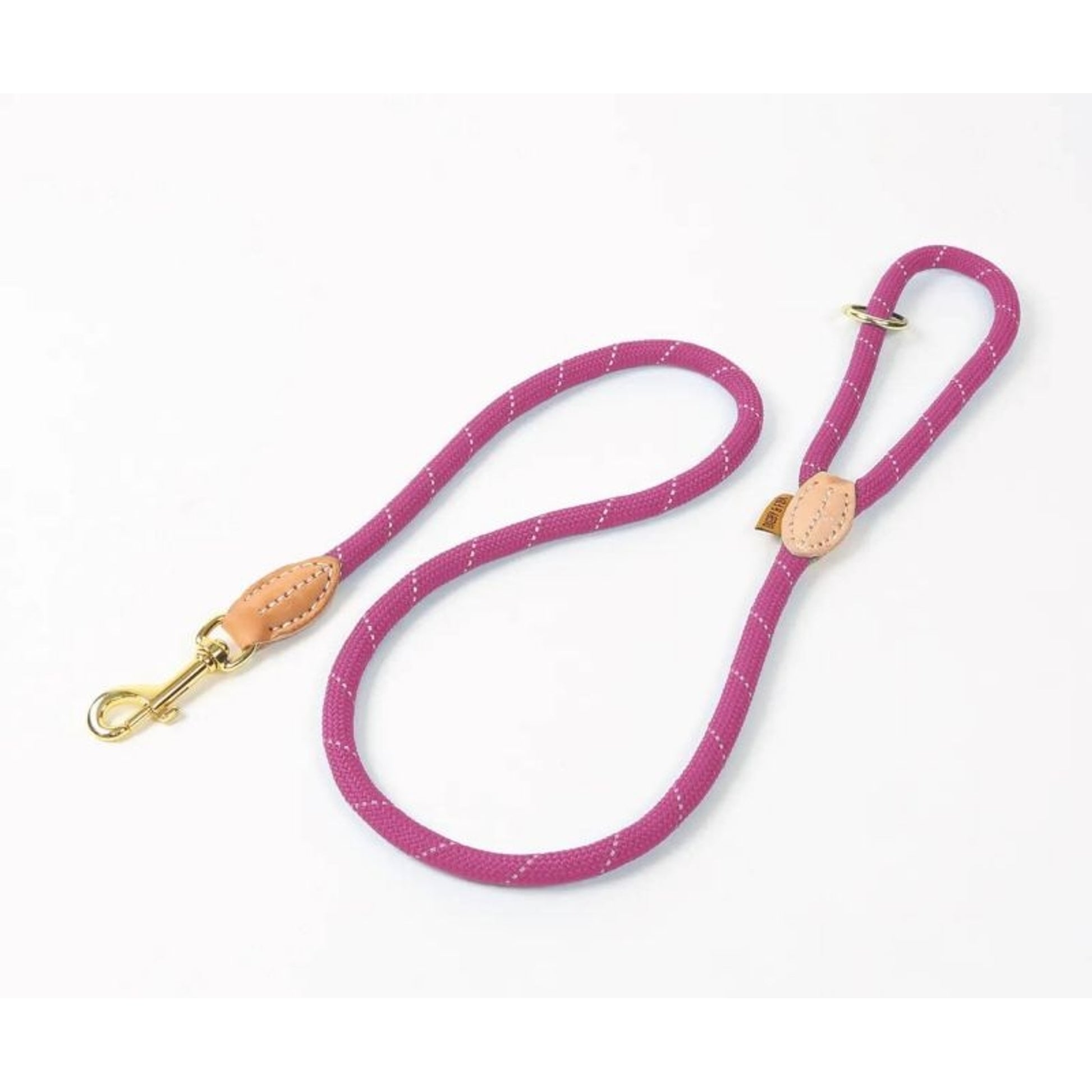 Shires Digby Fox Reflective Dog Lead
