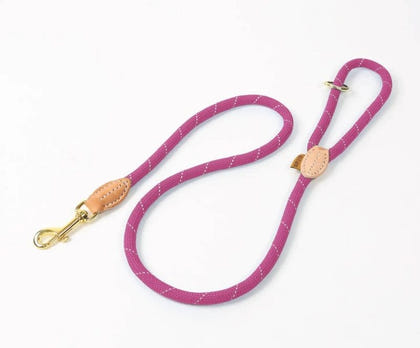 Shires Digby Fox Reflective Dog Lead