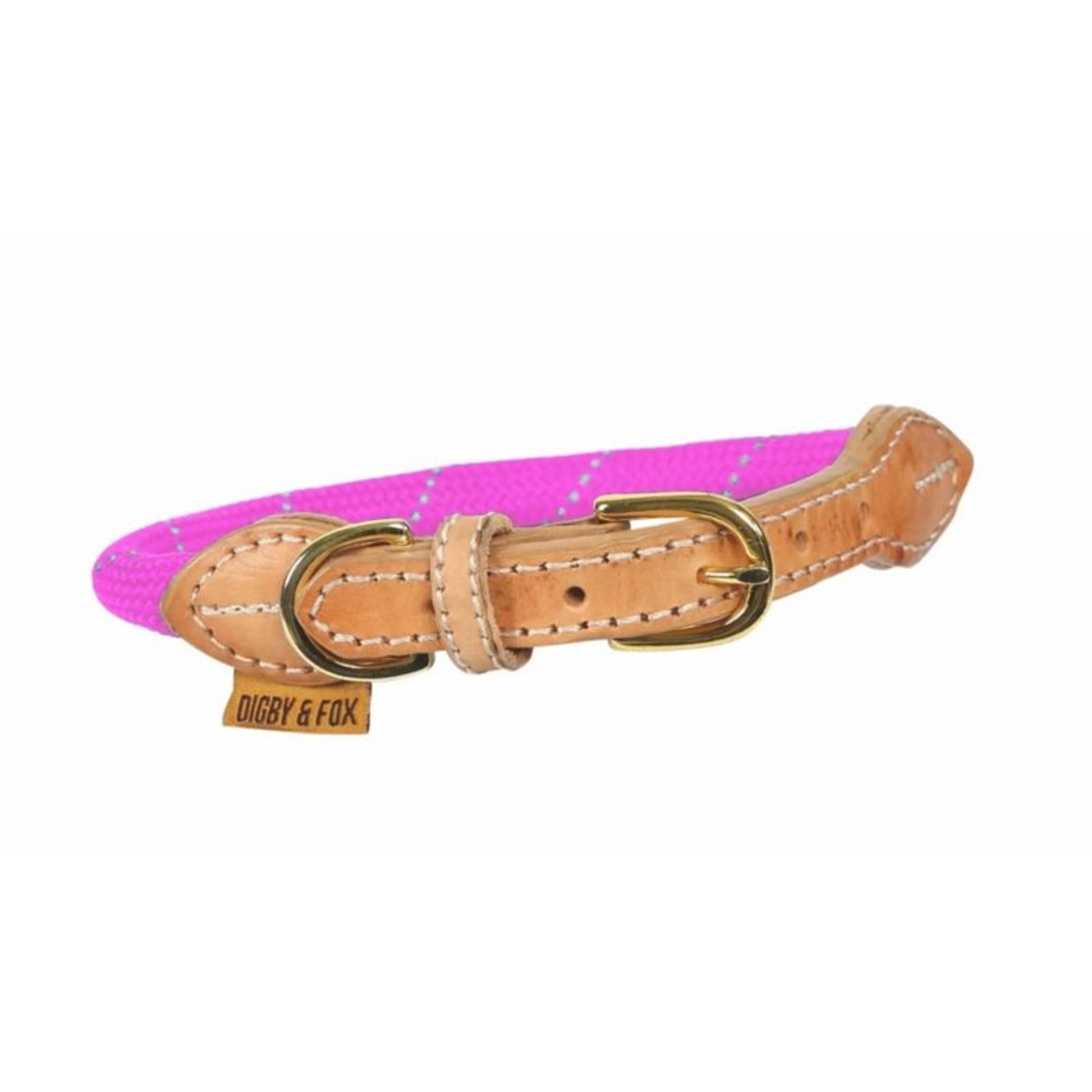 Shires Digby Reflective Dog Collar