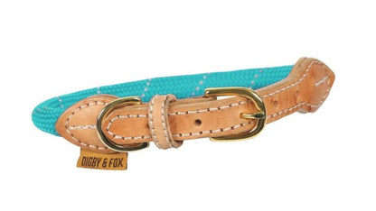 Shires Digby Reflective Dog Collar