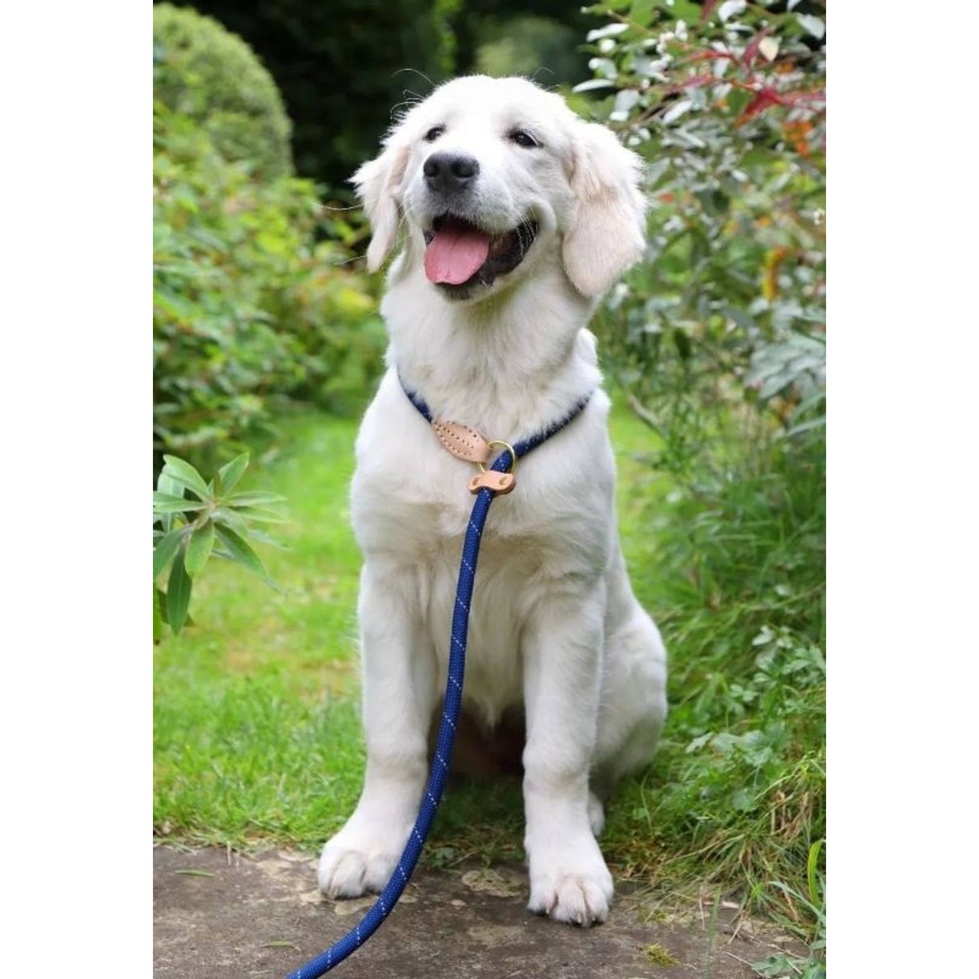 Shires Digby Reflective Slip Dog Lead