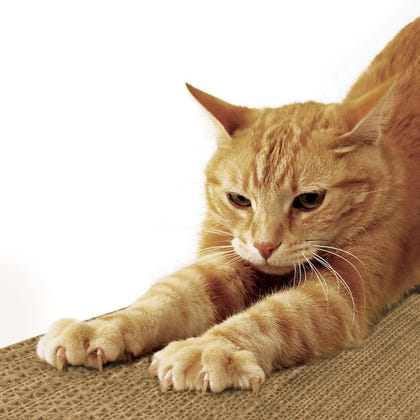 Smartykat Super Scratcher Stacker/Lounge