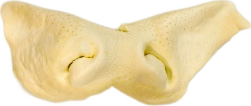 Natures Own Usa Not Rawhide Chew Treat