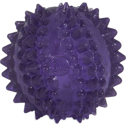Jw Bristly Cactus Ball