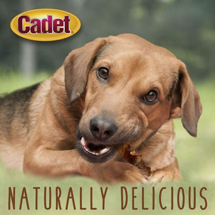 Cadet Gourmet Wraps - Sweet Potato Chicken 14oz