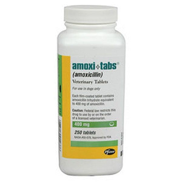 Amoxicillin