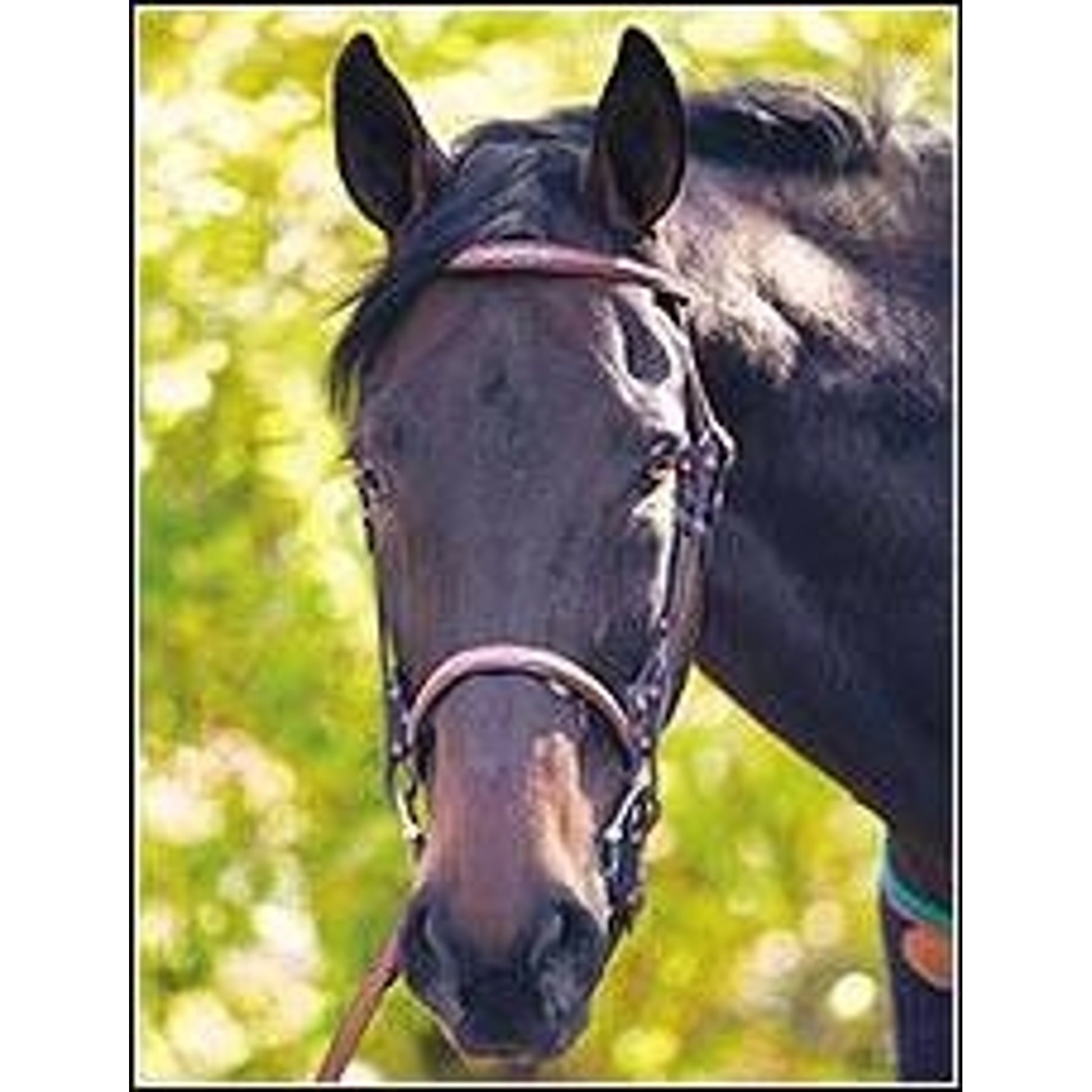 Henri De Rivel Advantage Bridle