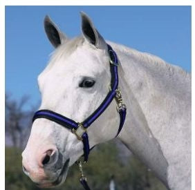 Padded No Rub Striped Poly Halter