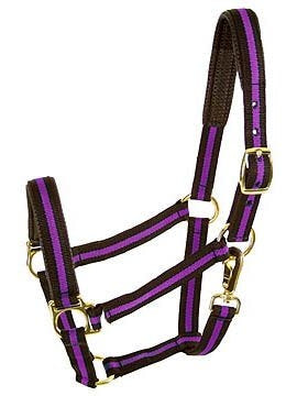 Padded No Rub Striped Poly Halter