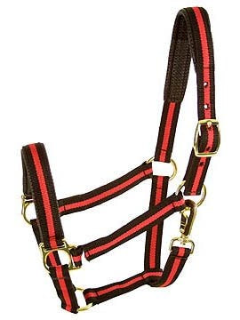 Padded No Rub Striped Poly Halter