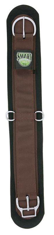 Weaver Nylon Felt Lined Straight Smart Cinch