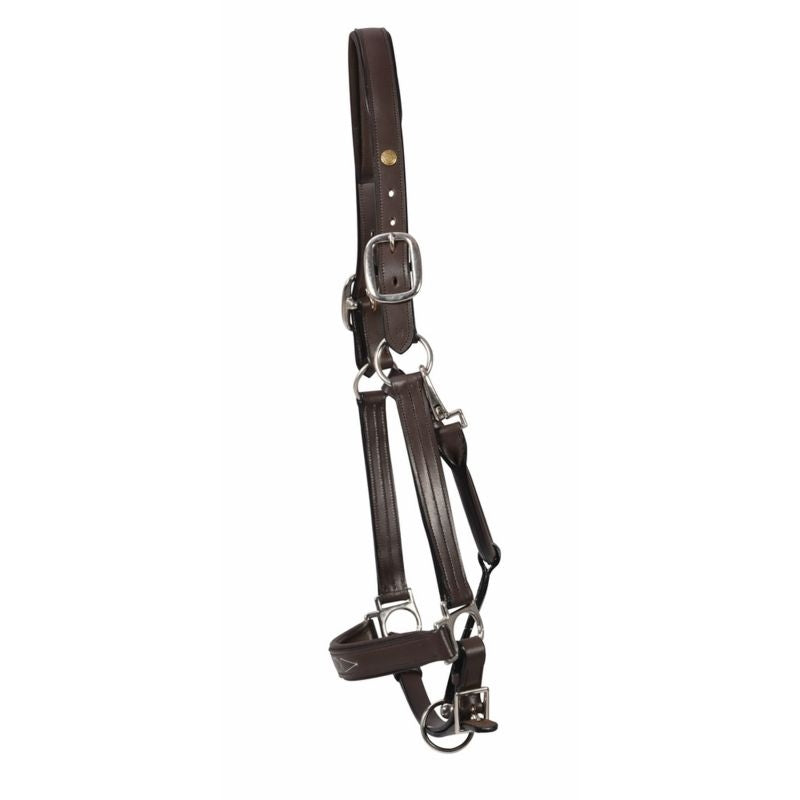 Henri de Rivel Pro Fancy Padded Rolled Throat Trip