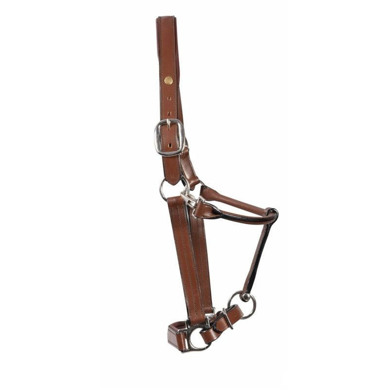 Henri de Rivel Pro Fancy Padded Rolled Throat Trip