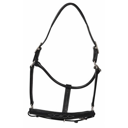 Henri de Rivel Pro Fancy Padded Rolled Throat Trip
