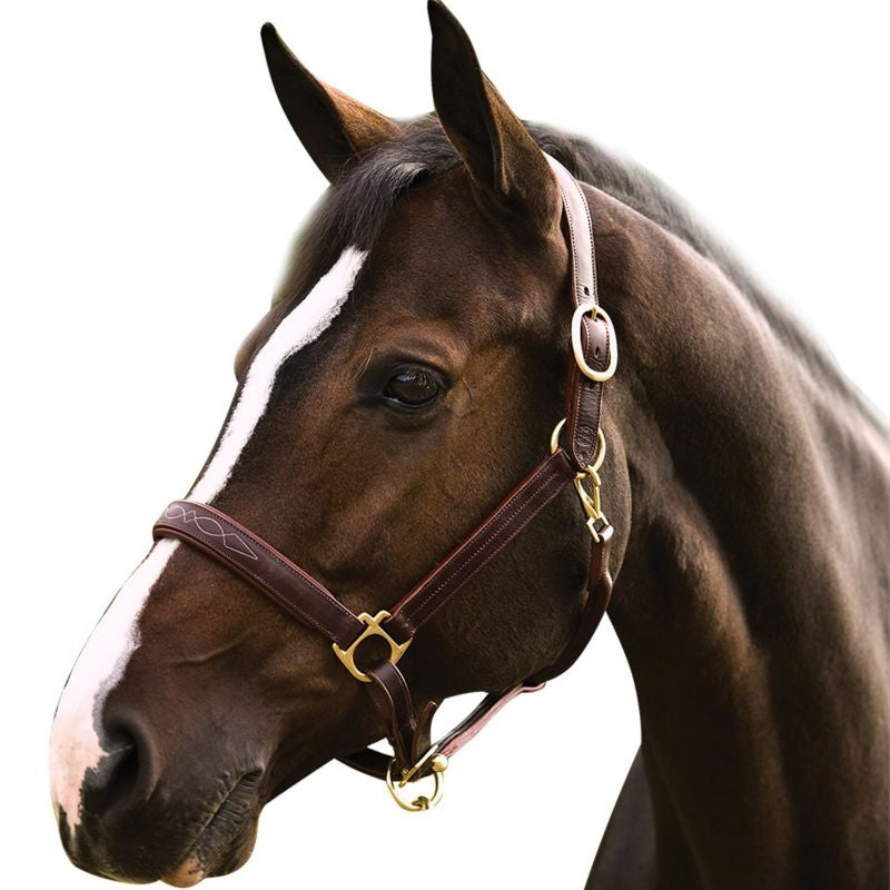 Henri de Rivel Pro Fancy Padded Rolled Throat Trip