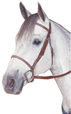 Kincade Raised Fancy Stitched Bridle
