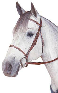 Kincade Raised Fancy Stitched Bridle