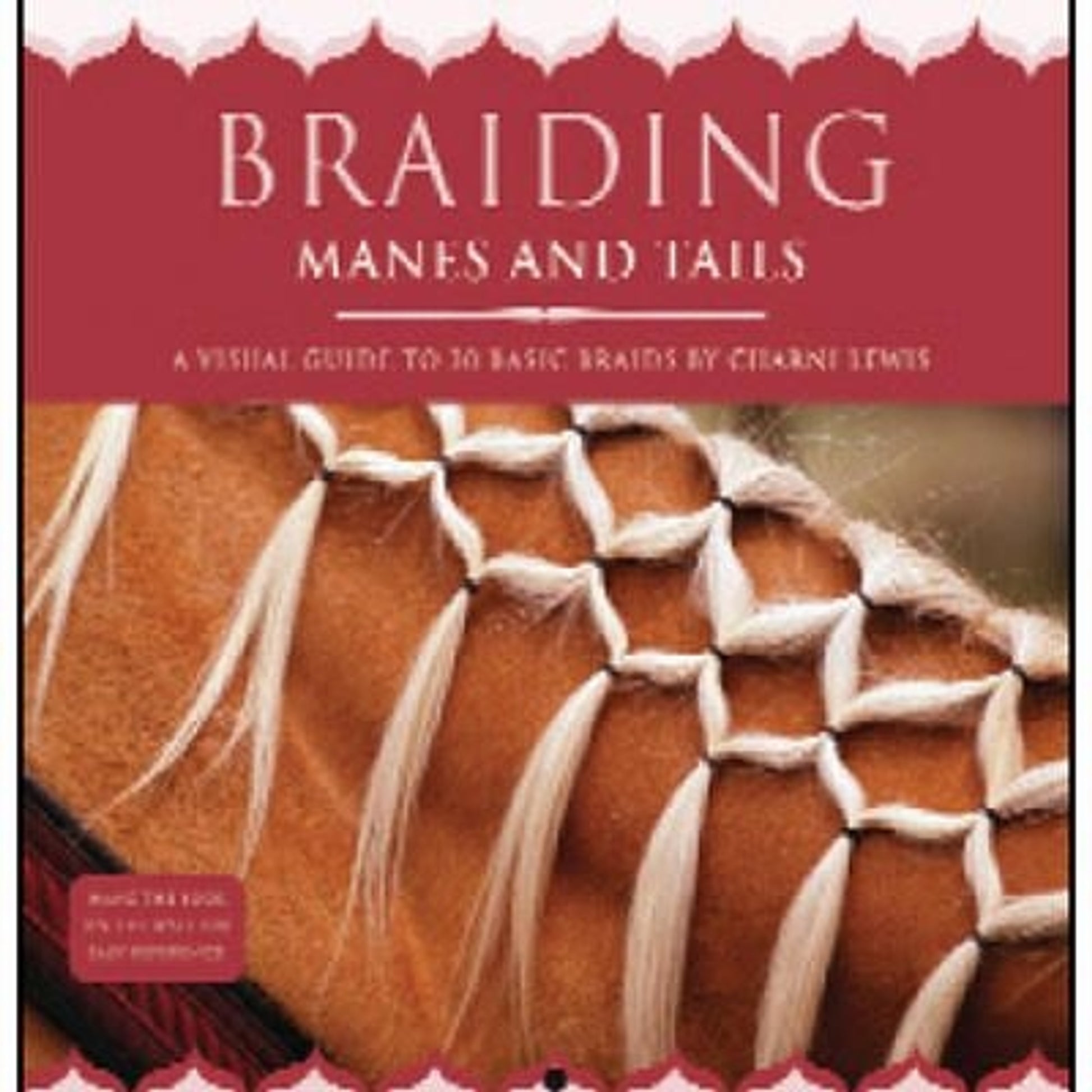 Braiding Manes and Tails
