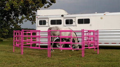 Carri-Lite Portable Corral