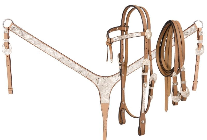 Royal King Futurity Headstall Western Show Set