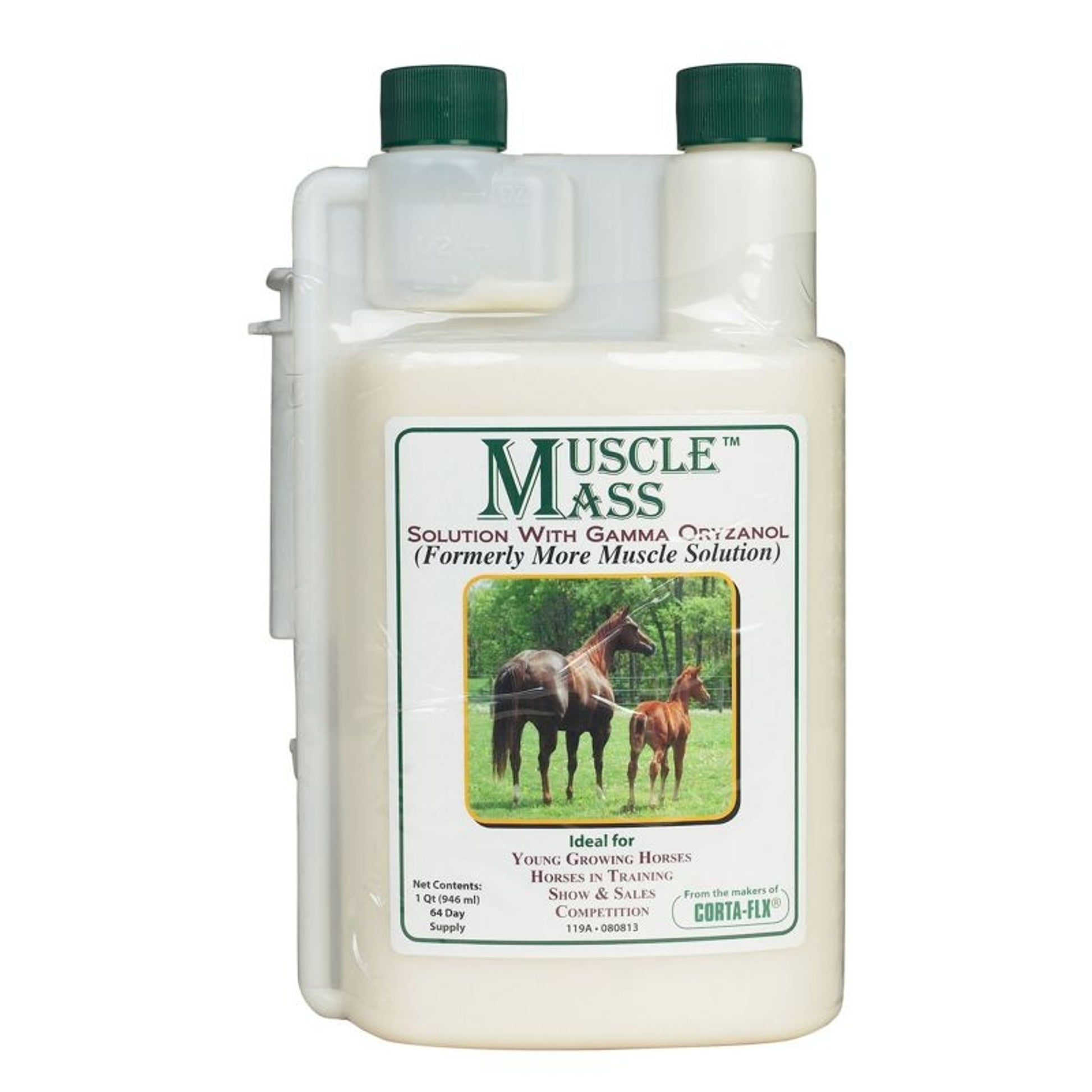 CORTA-FLX Muscle Mass