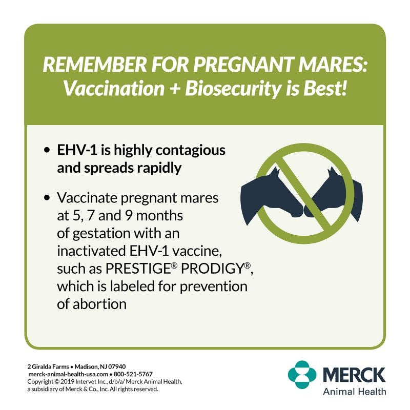 Merck Prestige Prodigy Vaccine Multi Pack 7 Dose