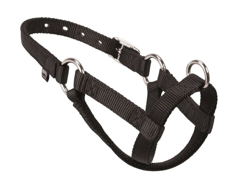 Weaver Nylon Walking Halter