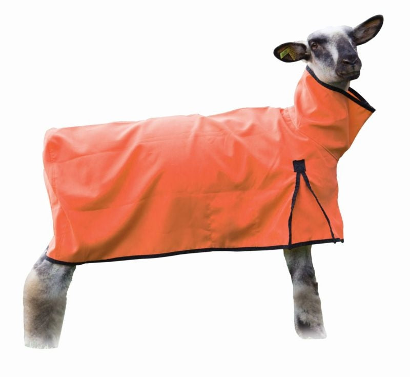 Weaver Nylon Sheep Blanket with Solid Butt
