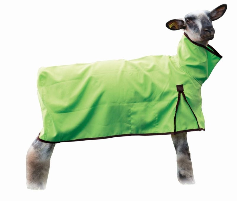 Weaver Nylon Sheep Blanket with Solid Butt