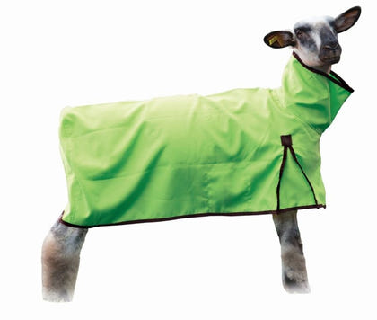 Weaver Nylon Sheep Blanket with Solid Butt