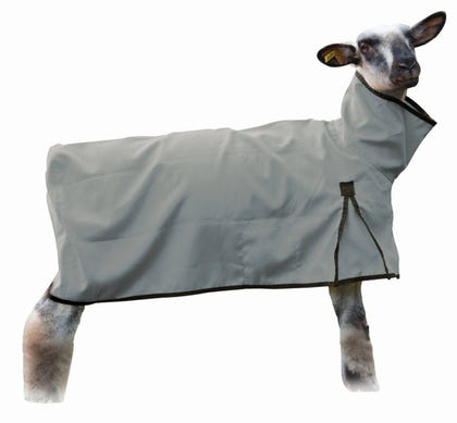 Weaver Nylon Sheep Blanket with Solid Butt