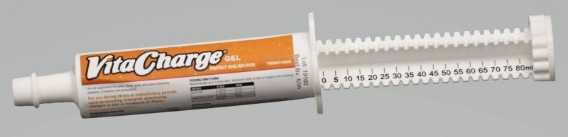 Vita Charge Gel 80 Ml