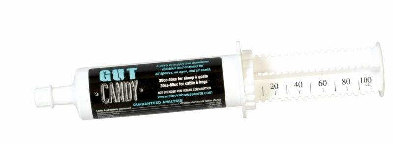 Precision Feed Gut Candy