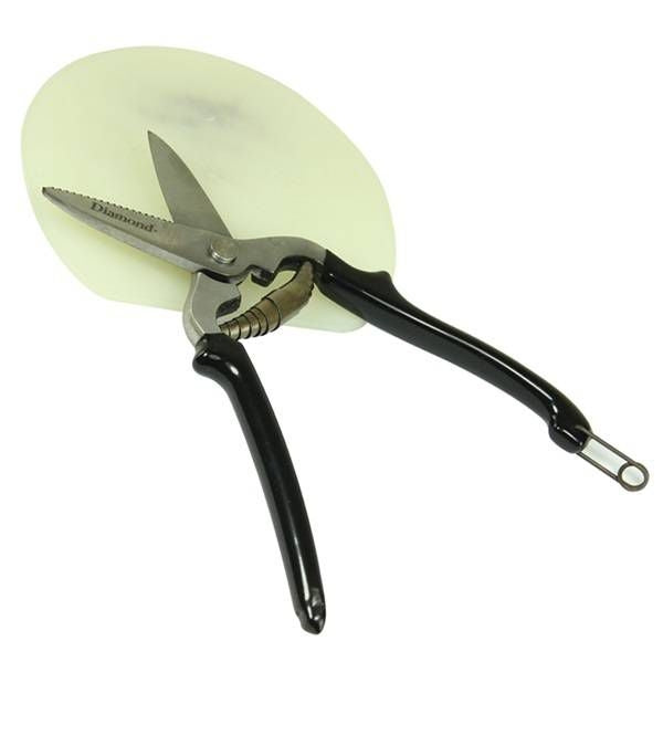 Diamond Pad Shears 9In