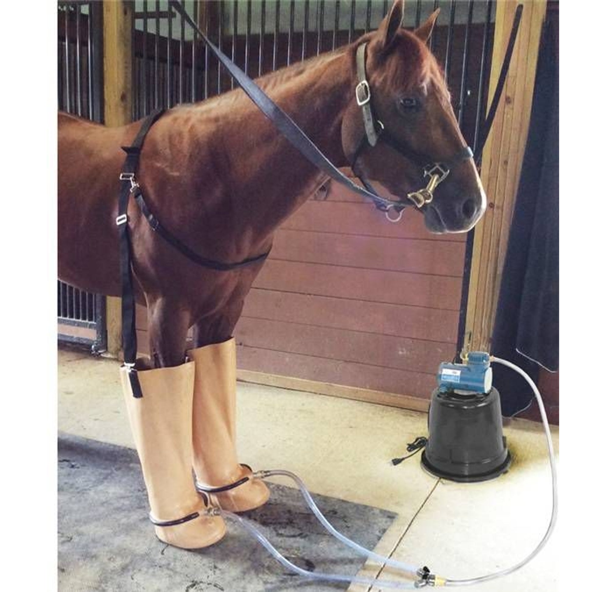 Jacks Whirlpool Boots With 220 Volt Compressor