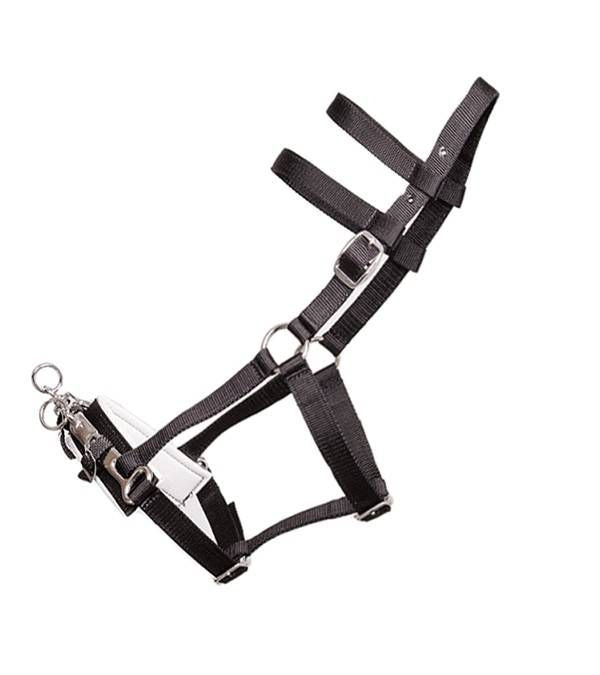 Jacks Lunging Halter With Nylon Webbing Black 1In