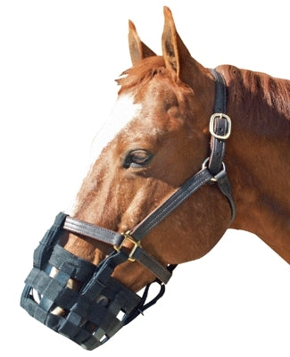The Grazing Muzzle