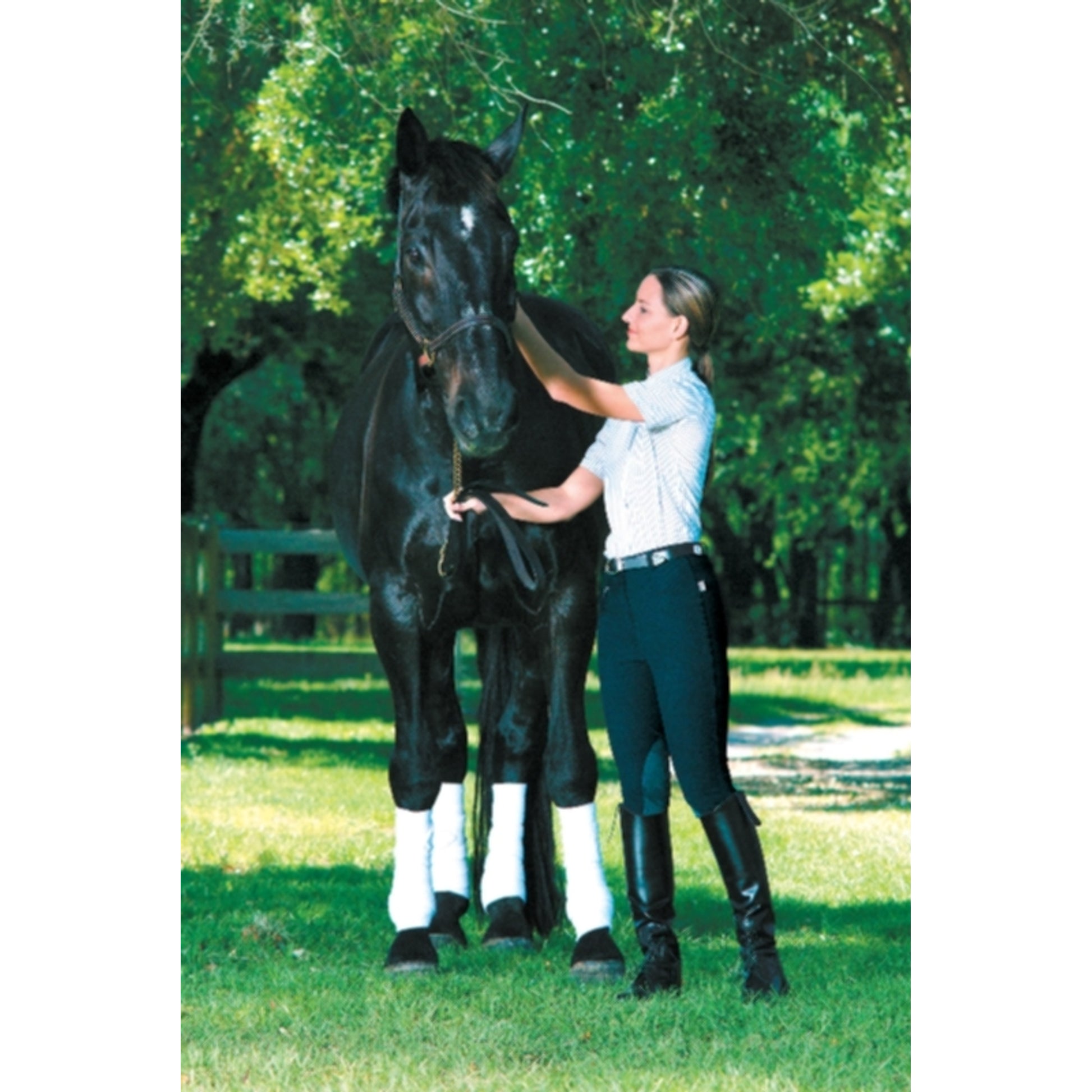 OPEN BOX Devon-Aire Ladies All-Pro Dev-Tek Ribbed Breeches - 24 Regular, Black