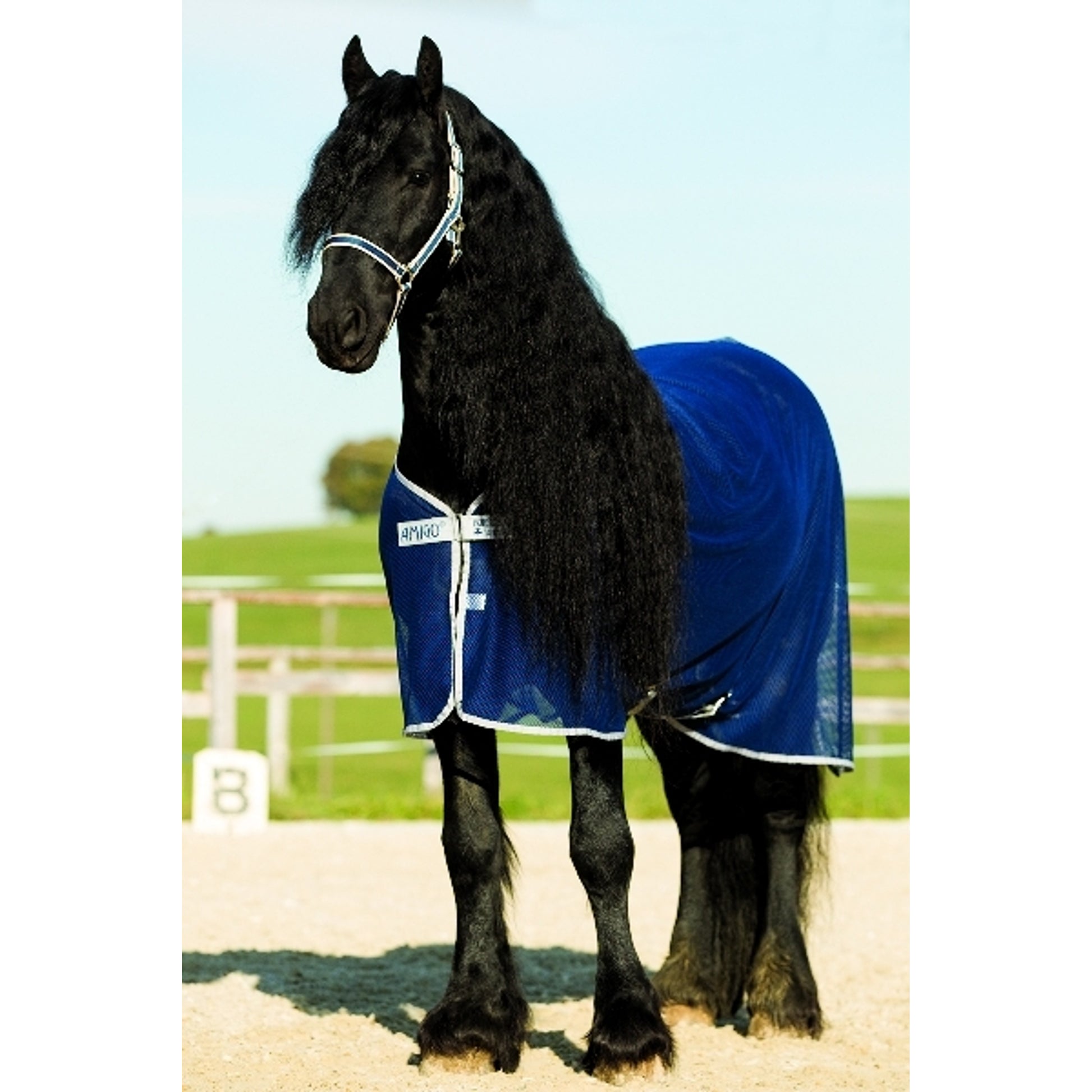 horseware-acrn24og-bmtb_01.jpg