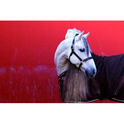 horseware-adaa00-nmcn_01.jpg