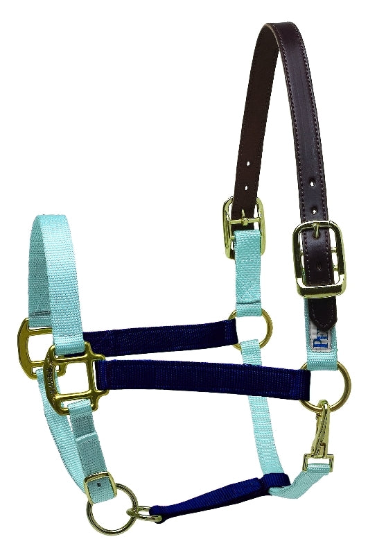 Perri's Color Vision Halter