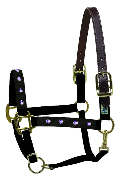 perris-154_bling_halter_purple.jpg