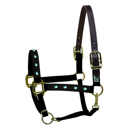 perris-154_bling_halter_turquoise.jpg