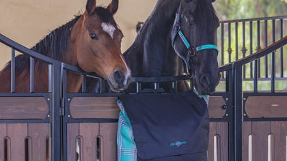 Kensington All Around Blanket Storage Bag